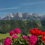 Apart Otel Hubertus Wellness & Breakfast Schladming